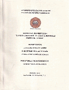 Vista miniatura