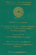 Vista miniatura