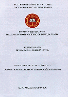Vista miniatura