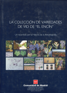 Portada local