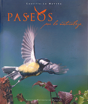 Portada local