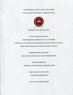 Portada local