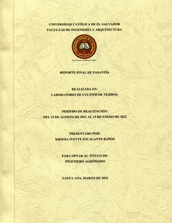 Portada local