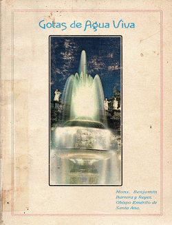 Portada local