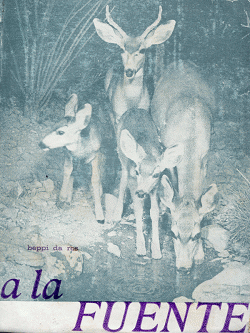 Portada local