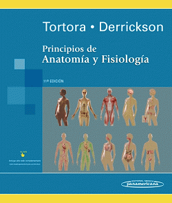 Portada local