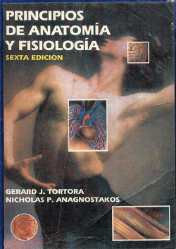 Portada local