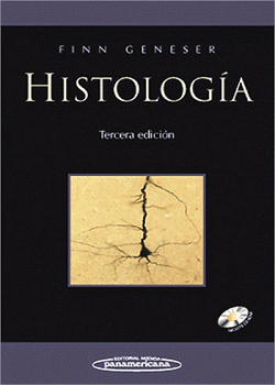 Portada local
