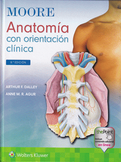 Portada local