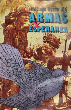 Portada local