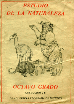 Portada local