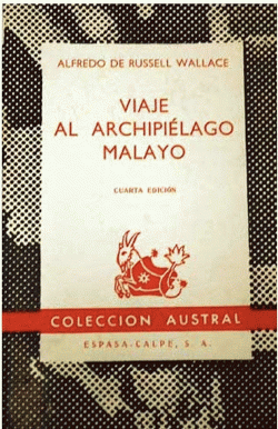 Portada local