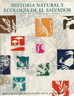 Portada local