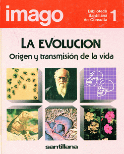 Portada local