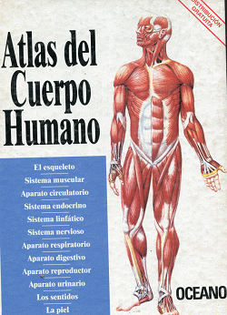 Portada local