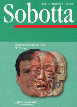 Portada local
