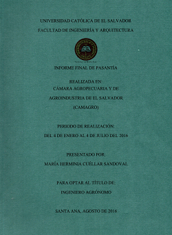 Portada local
