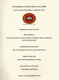 Portada local