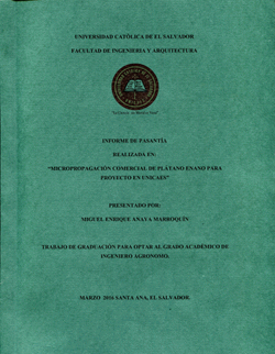 Portada local