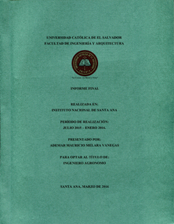 Portada local
