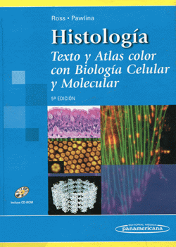 Portada local