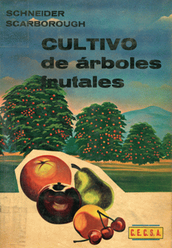 Portada local