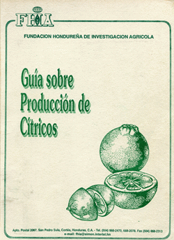 Portada local
