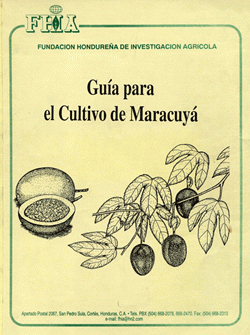 Portada local