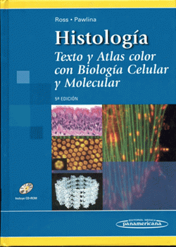 Portada local