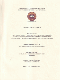 Portada local