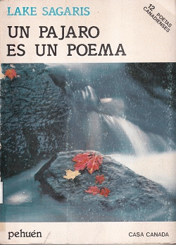 Portada local